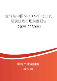 全球與中國SPAD-SoC行業(yè)發(fā)展調研及市場前景報告（2025-2030年）