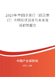 2025年中國殺菌燈（低壓汞燈）市場現(xiàn)狀調(diào)查與未來發(fā)展趨勢報告