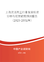 上海靈活用工行業(yè)發(fā)展現(xiàn)狀分析與前景趨勢預測報告（2025-2031年）