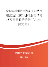 全球與中國(guó)雙燃料（天然氣和柴油）發(fā)動(dòng)機(jī)行業(yè)市場(chǎng)分析及前景趨勢(shì)報(bào)告（2024-2030年）