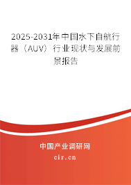 2025-2031年中國水下自航行器（AUV）行業(yè)現(xiàn)狀與發(fā)展前景報告