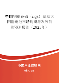 中國(guó)銅銦鎵硒（cigs）薄膜太陽(yáng)能電池市場(chǎng)調(diào)研與發(fā)展前景預(yù)測(cè)報(bào)告（2025年）