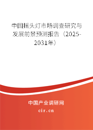 中國搖頭燈市場調查研究與發(fā)展前景預測報告（2025-2031年）