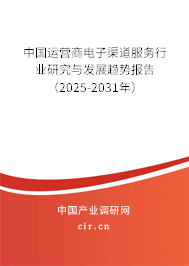 中國運(yùn)營商電子渠道服務(wù)行業(yè)研究與發(fā)展趨勢報(bào)告（2025-2031年）