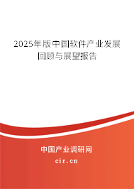 2025年版中國(guó)軟件產(chǎn)業(yè)發(fā)展回顧與展望報(bào)告
