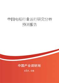 中國電船行業(yè)運行研究分析預測報告