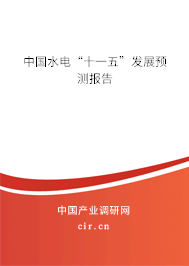 中國水電“十一五”發(fā)展預(yù)測報告