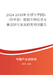 2024-2030年全球與中國(guó)5-（羥甲基）糠醛市場(chǎng)現(xiàn)狀全面調(diào)研與發(fā)展趨勢(shì)預(yù)測(cè)報(bào)告