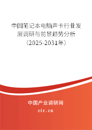 中國筆記本電腦聲卡行業(yè)發(fā)展調研與前景趨勢分析（2025-2031年）