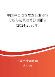 中國沖擊改性尼龍行業(yè)市場分析與前景趨勢預(yù)測報(bào)告（2024-2030年）