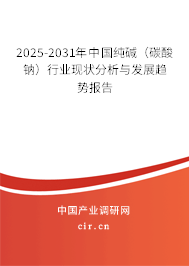 2025-2031年中國純堿（碳酸鈉）行業(yè)現(xiàn)狀分析與發(fā)展趨勢(shì)報(bào)告