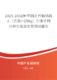 2025-2031年中國大六軸機(jī)器人（負(fù)載:>20kg）行業(yè)市場(chǎng)分析與發(fā)展前景預(yù)測(cè)報(bào)告