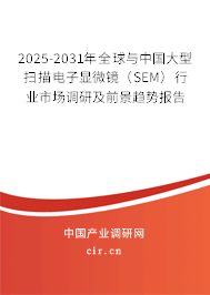 2025-2031年全球與中國大型掃描電子顯微鏡（SEM）行業(yè)市場調研及前景趨勢報告