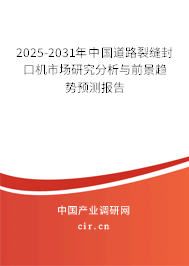 2025-2031年中國道路裂縫封口機市場研究分析與前景趨勢預(yù)測報告