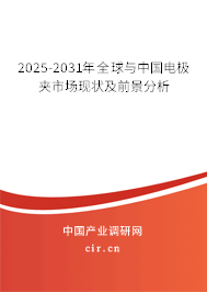 2025-2031年全球與中國(guó)電極夾市場(chǎng)現(xiàn)狀及前景分析
