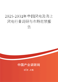 2025-2031年中國風(fēng)電及海上風(fēng)電行業(yè)調(diào)研與市場前景報告