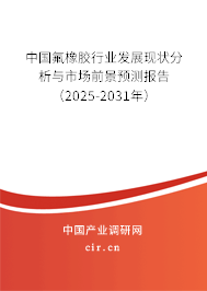 中國氟橡膠行業(yè)發(fā)展現(xiàn)狀分析與市場前景預(yù)測報(bào)告（2025-2031年）