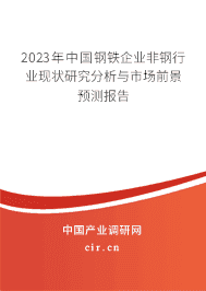 2023年中國(guó)鋼鐵企業(yè)非鋼行業(yè)現(xiàn)狀研究分析與市場(chǎng)前景預(yù)測(cè)報(bào)告