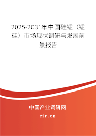 2025-2031年中國硅錳（錳硅）市場現(xiàn)狀調研與發(fā)展前景報告