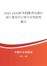 2025-2031年中國集成電路封裝行業(yè)研究分析與前景趨勢報告