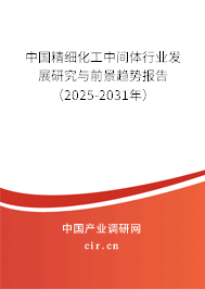中國(guó)精細(xì)化工中間體行業(yè)發(fā)展研究與前景趨勢(shì)報(bào)告（2025-2031年）
