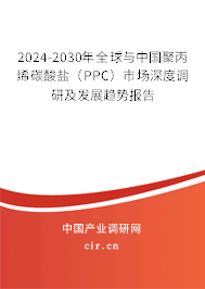 2024-2030年全球與中國聚丙烯碳酸鹽（PPC）市場深度調(diào)研及發(fā)展趨勢報告