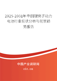 2025-2031年中國(guó)鋰離子動(dòng)力電池行業(yè)現(xiàn)狀分析與前景趨勢(shì)報(bào)告