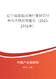 遼寧省基礎(chǔ)設(shè)施行業(yè)研究分析與市場前景報告（2025-2031年）