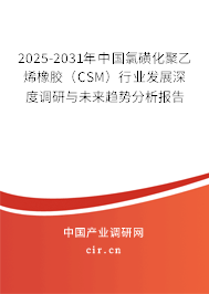 2025-2031年中國氯磺化聚乙烯橡膠（CSM）行業(yè)發(fā)展深度調(diào)研與未來趨勢(shì)分析報(bào)告
