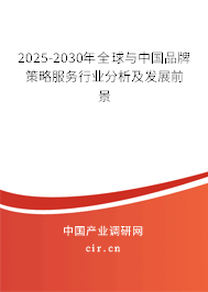 2025-2030年全球與中國品牌策略服務(wù)行業(yè)分析及發(fā)展前景