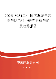 2025-2031年中國汽車尾氣污染與防治行業(yè)研究分析與前景趨勢報告