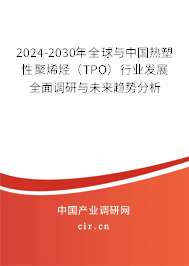 2024-2030年全球與中國(guó)熱塑性聚烯烴（TPO）行業(yè)發(fā)展全面調(diào)研與未來趨勢(shì)分析
