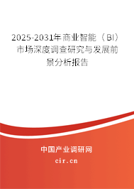 2025-2031年商業(yè)智能（BI）市場深度調(diào)查研究與發(fā)展前景分析報告
