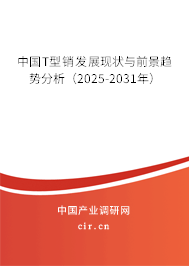 中國(guó)T型銷發(fā)展現(xiàn)狀與前景趨勢(shì)分析（2025-2031年）