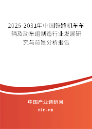 2025-2031年中國鐵路機車車輛及動車組制造行業(yè)發(fā)展研究與前景分析報告