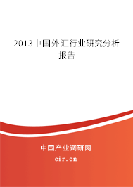 2013中國外匯行業(yè)研究分析報(bào)告