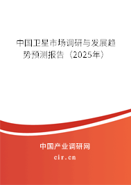 中國衛(wèi)星市場調研與發(fā)展趨勢預測報告（2025年）