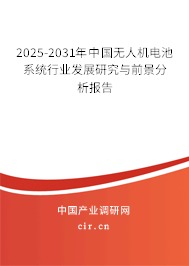 2025-2031年中國無人機(jī)電池系統(tǒng)行業(yè)發(fā)展研究與前景分析報(bào)告