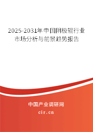 2025-2031年中國陰極輥行業(yè)市場分析與前景趨勢報告