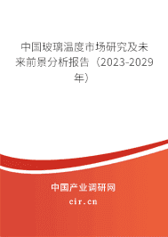 中國(guó)玻璃溫度市場(chǎng)研究及未來(lái)前景分析報(bào)告（2023-2029年）