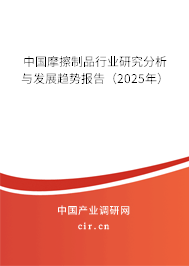 中國摩擦制品行業(yè)研究分析與發(fā)展趨勢報告（2024年）