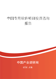 中國專用軟件項目投資咨詢報告