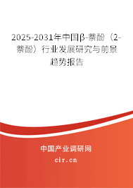 2025-2031年中國β-萘酚（2-萘酚）行業(yè)發(fā)展研究與前景趨勢報告