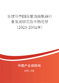 全球與中國段塞流捕集器行業(yè)發(fā)展研究及市場前景（2025-2031年）