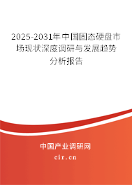 2025-2031年中國固態(tài)硬盤市場現(xiàn)狀深度調(diào)研與發(fā)展趨勢分析報告