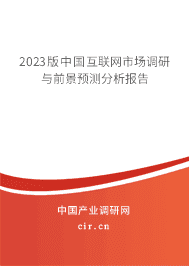 2023版中國互聯網市場調研與前景預測分析報告