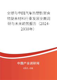 全球與中國汽車熱塑性聚合物復(fù)合材料行業(yè)發(fā)展全面調(diào)研與未來趨勢報告（2024-2030年）