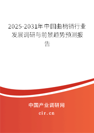 2025-2031年中國曲柄銷行業(yè)發(fā)展調(diào)研與前景趨勢預(yù)測報告