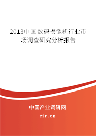 2013中國(guó)數(shù)碼攝像機(jī)行業(yè)市場(chǎng)調(diào)查研究分析報(bào)告