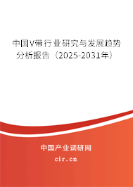 中國(guó)V帶行業(yè)研究與發(fā)展趨勢(shì)分析報(bào)告（2025-2031年）